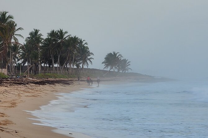 Horseback Riding at Sunrise on the Beach of Punta Cana - Weather, timing, and cancellation rules