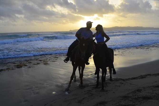 Horseback Riding at Sunrise on the Beach of Punta Cana - Who should book this Punta Cana experience?