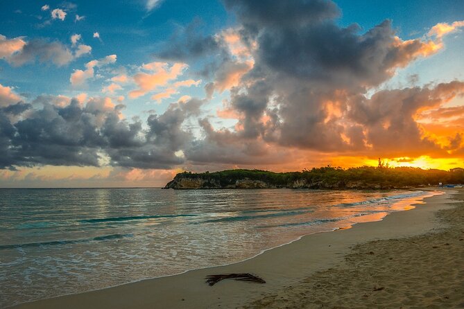 Horseback Riding at Sunrise on the Beach of Punta Cana - The horses and the role of Jano