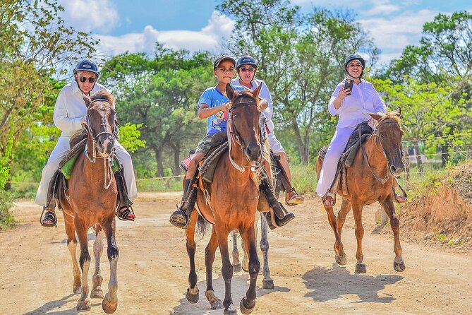 Horseback Riding Excursion to Macao Beach in Punta Cana - What the 3 to 4 hour outing feels like