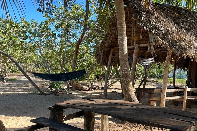 Horseback Riding - Experience between virgin beach and lagoon - A swim in clear water before returning