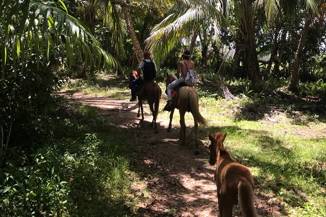 Horseback Riding - Experience between virgin beach and lagoon - What the $100 price really covers