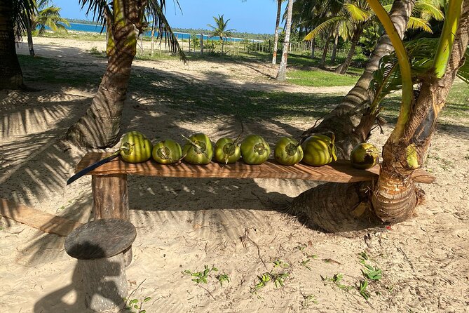Horseback Riding - Experience between virgin beach and lagoon - Who will enjoy this ride most
