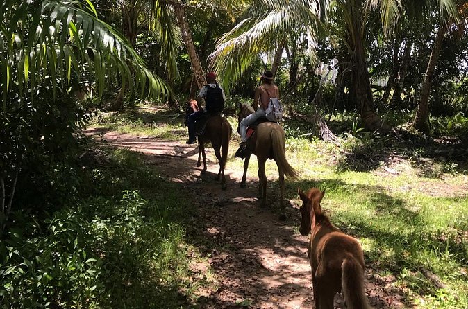 Horseback Riding - Experience between virgin beach and lagoon - Timing, transport, and small practical details