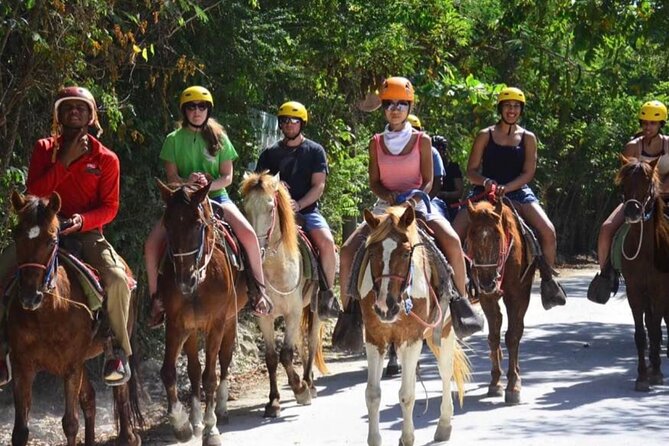 Horseback Riding Experience in Punta Cana - Fruit plantations and endemic birds