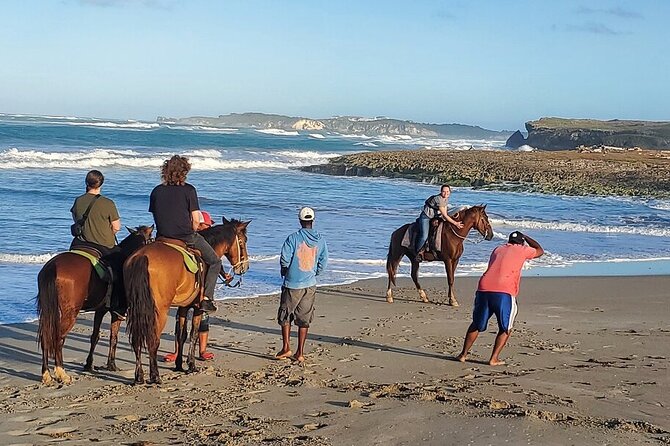 Horseback riding in punta cana beach and Bayahibe - Riding for first-timers