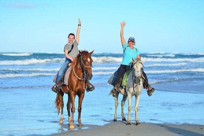 Horseback riding in punta cana beach and Bayahibe - Price and what you get for $45
