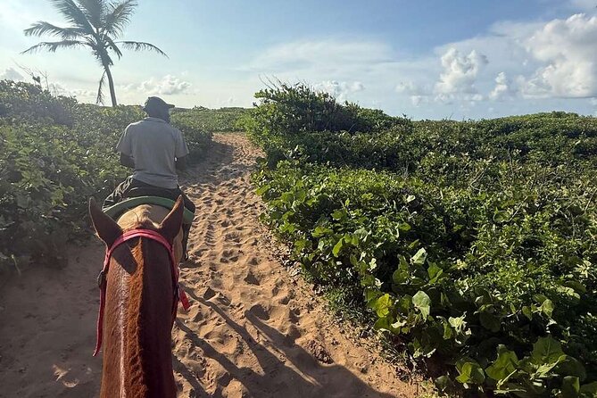 Horseback riding in punta cana beach and Bayahibe - Couples, families, and different riding goals