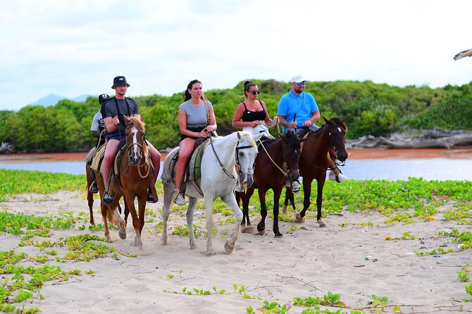Horseback riding in punta cana beach and Bayahibe - From wooded paths to the river mouth