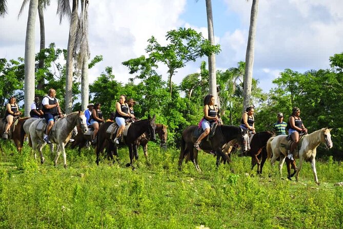 Horseback Riding in the Dominican Jungle - The guides can shape the whole day