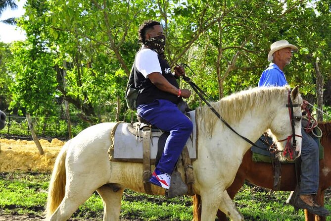 Horseback Riding in the Dominican Jungle - What the $69.99 price means