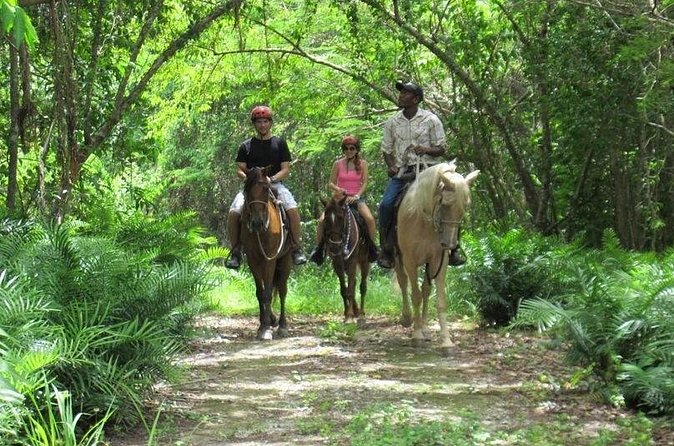 Horseback Riding on the Beach in Punta Cana (One Hour) - About the one-hour riding time