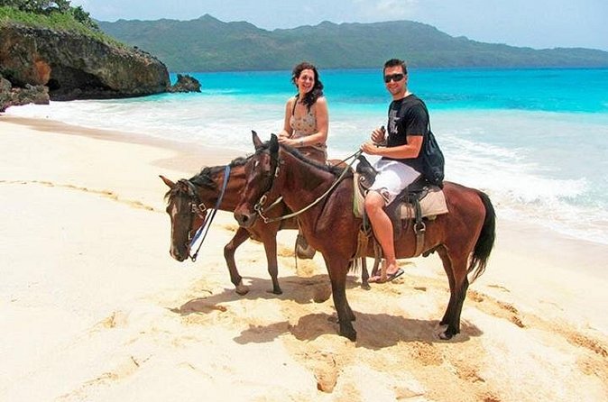 Horseback Riding on the Beach in Punta Cana (One Hour) - Price, transport, and the real value of $58