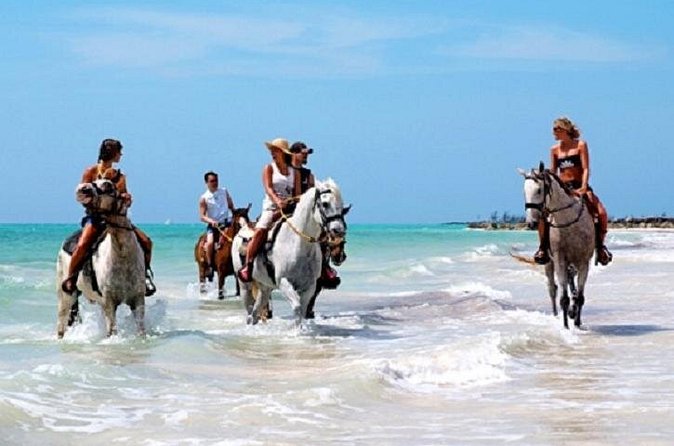Horseback Riding on the Beach in Punta Cana (One Hour) - Safety, comfort, and the swimming option