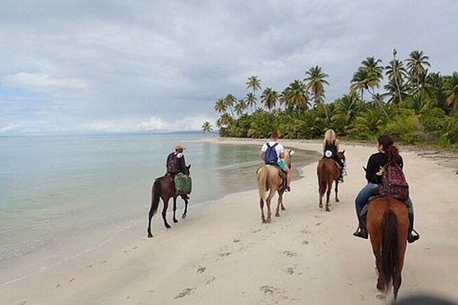 Horseback Riding on the Beaches of Punta Cana - Is the $50 price good value?