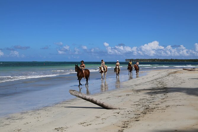 Horseback Riding on the Beaches of Punta Cana - Practical tips for making the ride better