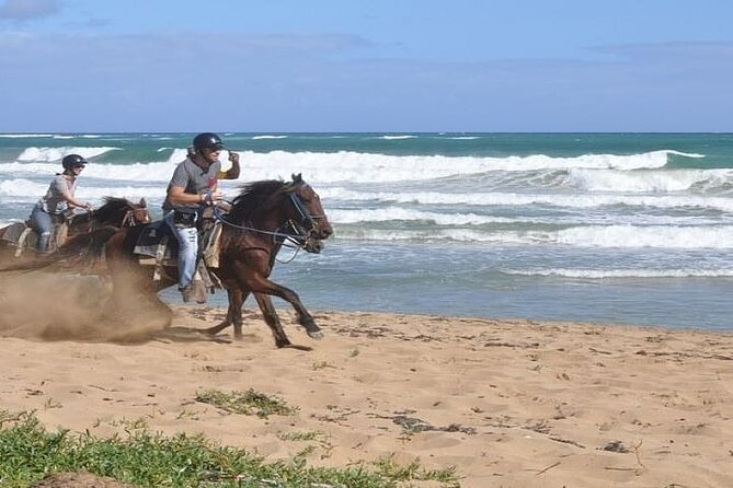 Horseback Riding to Maimon River from Punta Cana - The traditional ranch and horse orientation