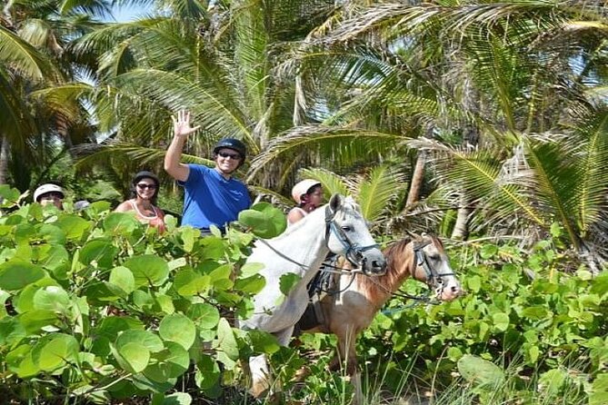 Horseback Riding to Maimon River from Punta Cana - Morning or afternoon: choosing the better departure
