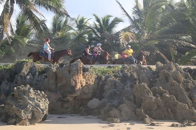 Horseback Riding to Maimon River from Punta Cana - Through forest and protected natural areas
