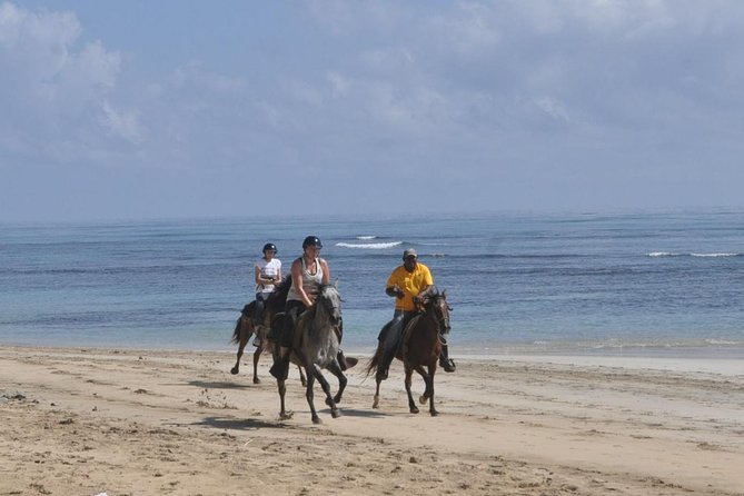 Horseback Riding Tour Adventure on the Beach - Who will enjoy this Punta Cana horseback tour?