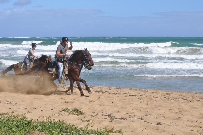 Horseback Riding Tour on the Beaches of Punta Cana - Two hours through paths, roads, and countryside