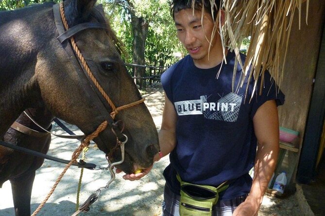 Horseback riding tours from amber cove & Taino bay port silver - Reaching the beach for swimming and photos