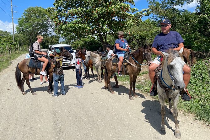 Horseback riding tours from amber cove & Taino bay port silver - Timing your cruise day around three hours