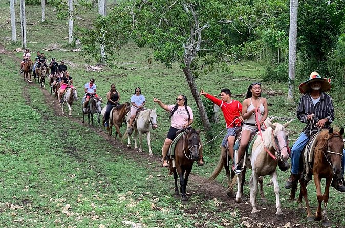 Horseback Riding with Pickup from Punta Cana - The Dominican cigar-making lesson at the end