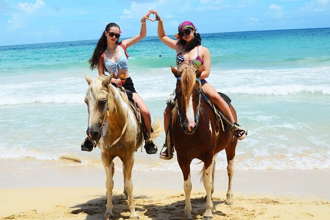 Horses, Buggy, and plantation in Chocaci Ranch - A working ranch, not a polished resort attraction