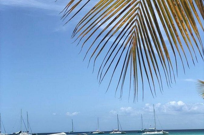 Iberostar Grand Bavaro - Round Trip Shuttle - Punta Cana Airport - Arriving at Iberostar Grand Bavaro