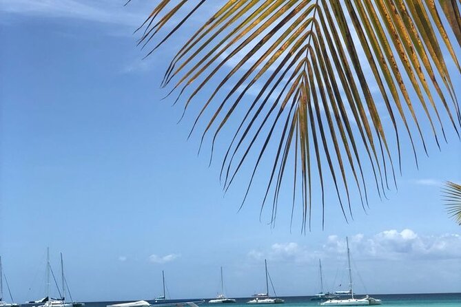 Iberostar Grand Bavaro - Round Trip Shuttle - Punta Cana Airport - Group size, luggage, and comfort