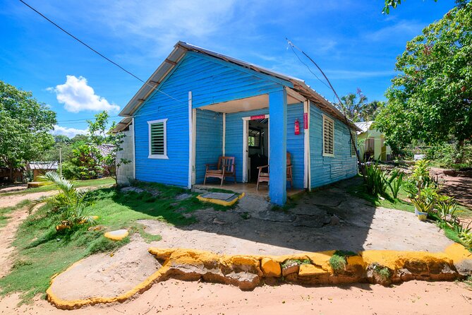 Immerse in Dominican Culture: Private Community Tour - The road to Coconut Cove