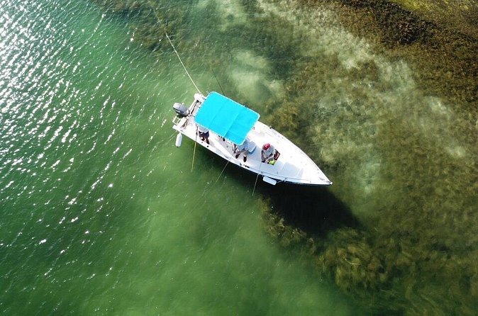 Inshore & Fly Fishing Punta Cana Private charter at Marina Cap Cana - Fishing for beginners, couples, and families