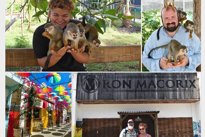Interaction with Monkey Tour & city tour in Puerto Plata - What this Puerto Plata outing is really like