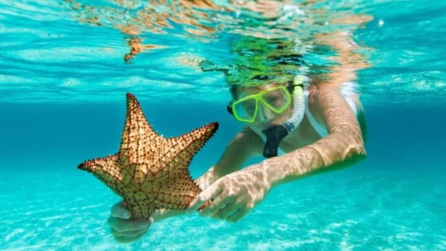 isla saona día completo - What the tour does well, and where it falls short