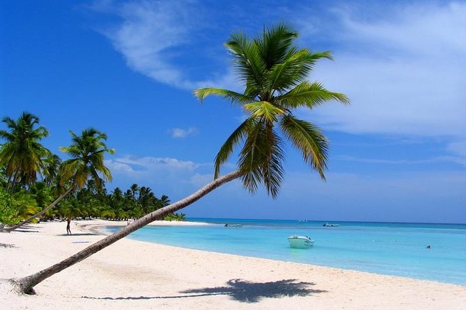 Isla Saona El Paraiso del Caribe - Key points to know before you book