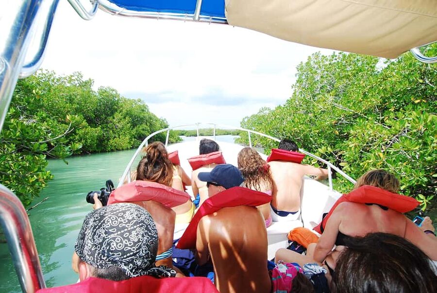 Isla Saona Wildlife Safari: Your All-Inclusive Escape - Key points to know before you book