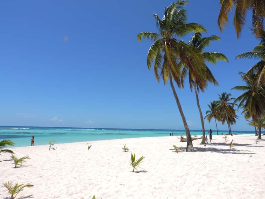 Isla Saona Wildlife Safari: Your All-Inclusive Escape - The turtle sanctuary question