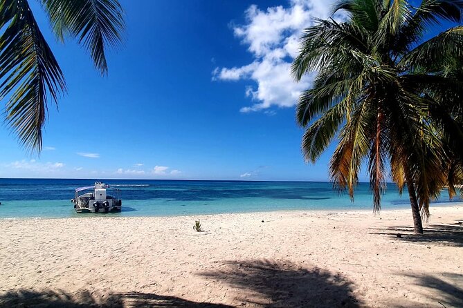Island DE Saona: EN Small Group Tour on Trimaran Motorise - Quick points to know