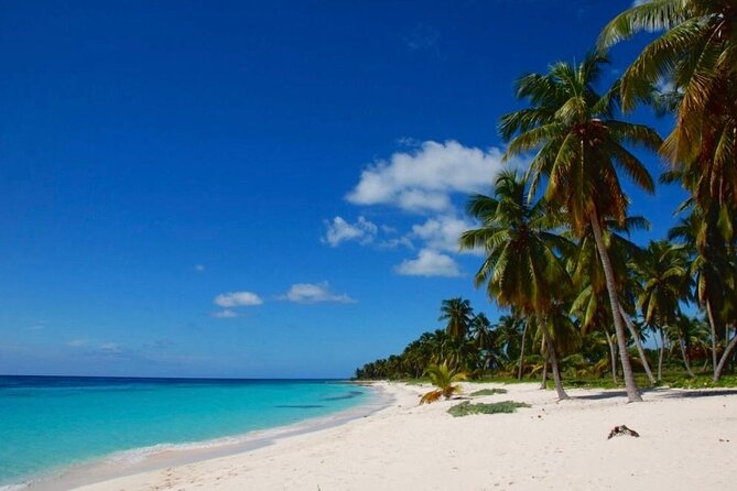 Island DE Saona: EN Small Group Tour on Trimaran Motorise - Canto de la Playa: two hours at a wild beach