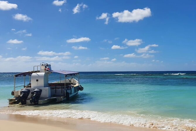 Island DE Saona: EN Small Group Tour on Trimaran Motorise - What the $110 price really includes