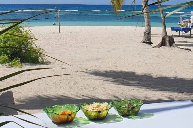 Island DE Saona: EN Small Group Tour on Trimaran Motorise - The group size, pace, and family question