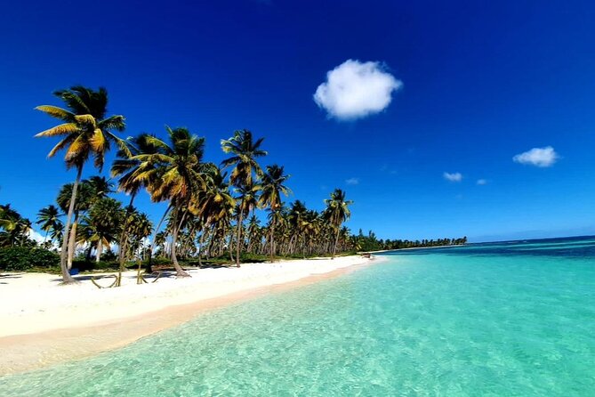 Island DE Saona: EN Small Group Tour on Trimaran Motorise - Who will get the most from this outing