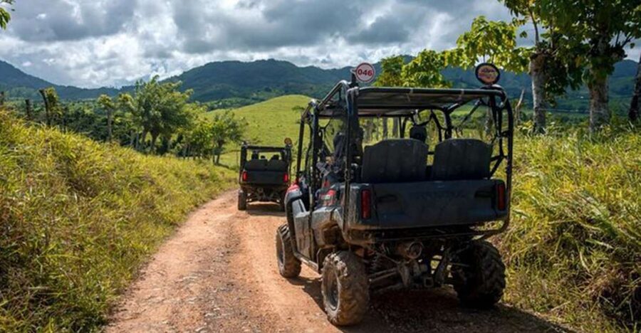 Jarabacoa: Baiguate Waterfall ATV Tour with Entry Ticket - Fresh fruit from Jarabacoa farms