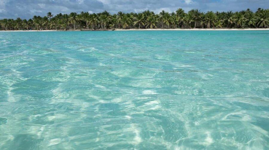 Juan Dolio: Saona Island Full-Day Tour with Lunch & Drinks - Why Saona works as a full-day escape