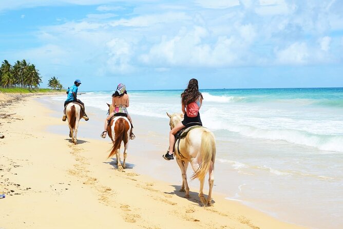 Jungle and Beach Horse Ridding round trip transportatin. - What the $51 price really covers