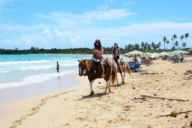 Jungle and Beach Horse Ridding round trip transportatin. - Coffee, cacao, and cigar-making demonstrations
