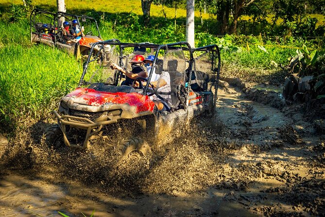 Jungle Buggies and Monkeyland from Punta Cana - Key points at a glance
