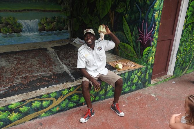 Jungle Buggies and Monkeyland from Punta Cana - Lunch with a taste of the Dominican Republic