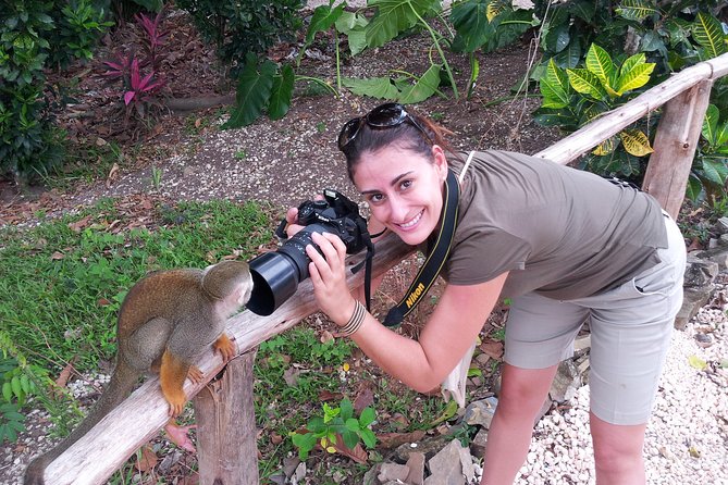 Jungle Buggies and Monkeyland from Punta Cana - Timing is the real tradeoff